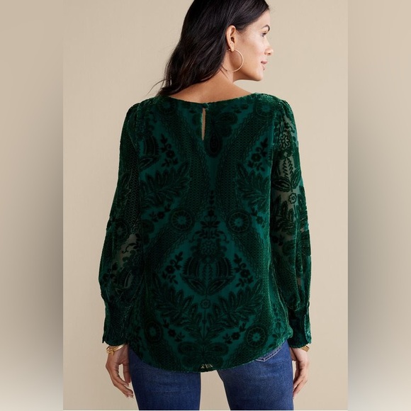 Soft Surroundings Vanetta Velvet Top Emerald 2X NWT - Picture 4 of 12